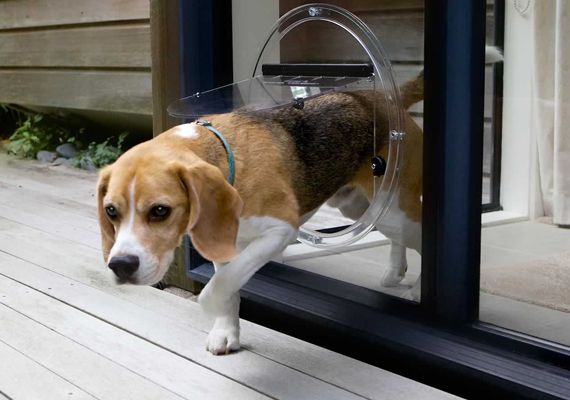 Dog Door Installation in Glass Panels, Patio Doors and Sliding Doors - Obrien Australia