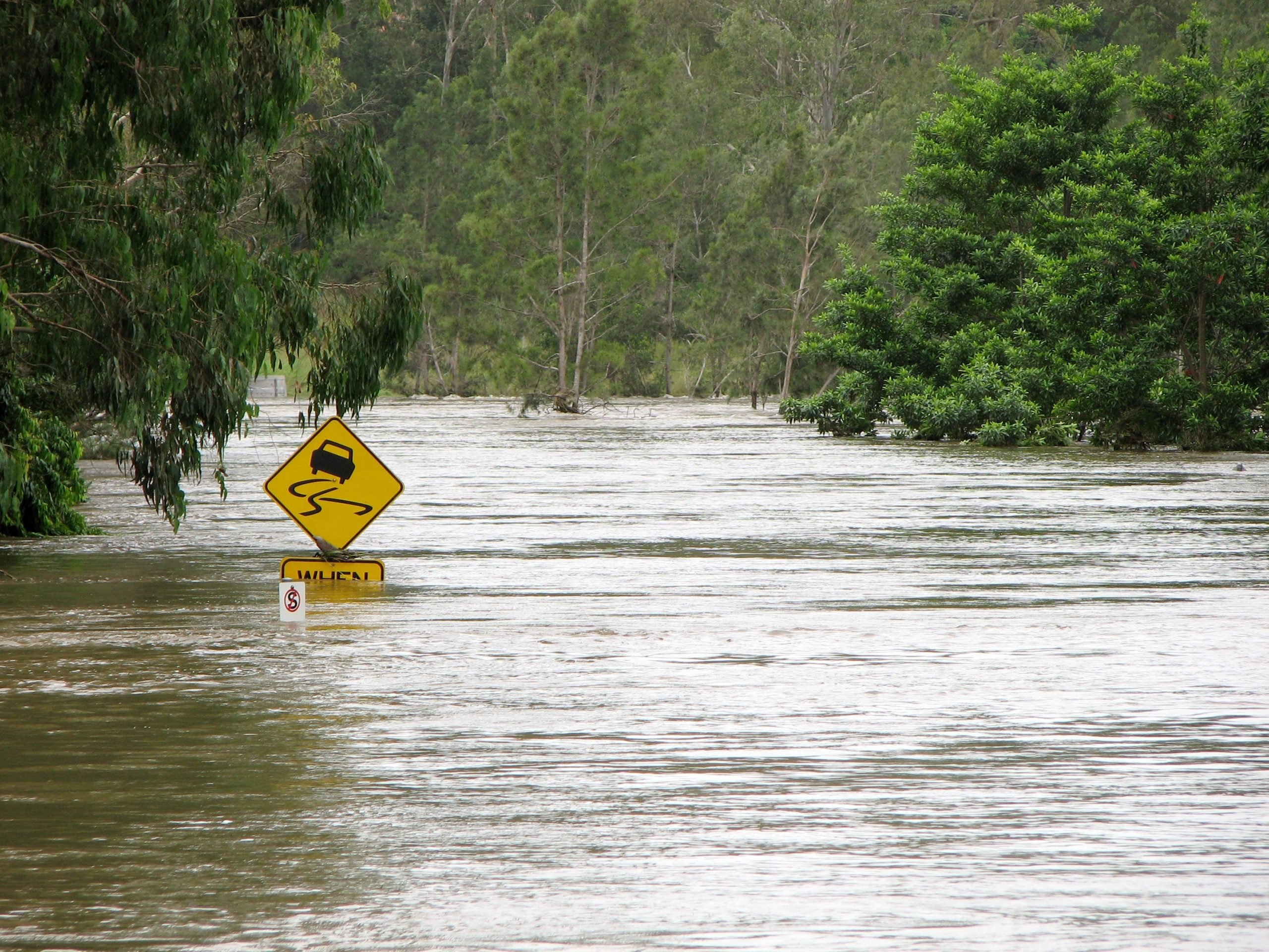 O’Brien Lismore Team In Focus: Resilience During The Floods